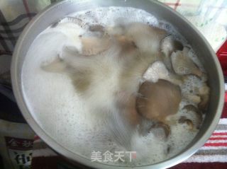 鲜蘑猪肉水饺的做法步骤：7
