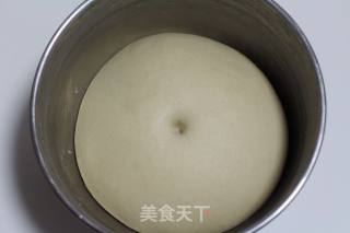 集合了冷藏中种和液种法，打造咸香松软的奶酪海苔软面包的做法步骤：4