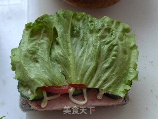 蔬菜午餐肉三明治的做法步骤：10