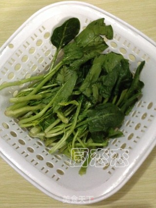 菠菜粉丝的做法步骤：1