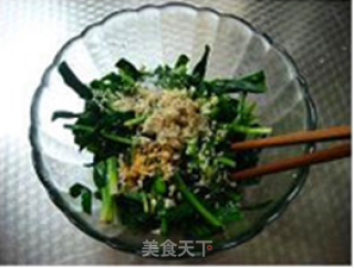 珍选捞汁韭菜的做法步骤：4