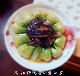 香菇瓢儿菜的做法步骤：6