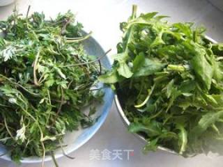 酱香艾草荠菜煎饼的做法步骤：1