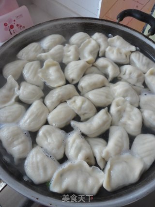 饺子的做法步骤：7