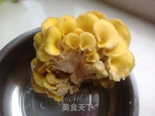 小炒小黄蘑的做法步骤：1