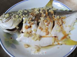 清蒸金鲳鱼的做法步骤：6