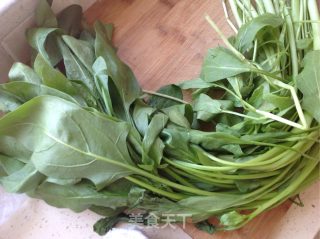 凉拌菠菜的做法步骤：1