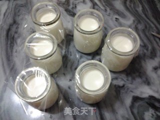 原味酸奶的做法步骤：3