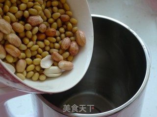 红枣桂圆豆浆的做法步骤：5