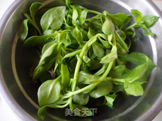爽口穿心莲的做法步骤：1