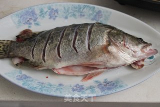 中式蒸鳜鱼春蔬绸带面的做法步骤：4