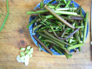 春天的野菜香---酒糟炒蕨菜的做法步骤：2