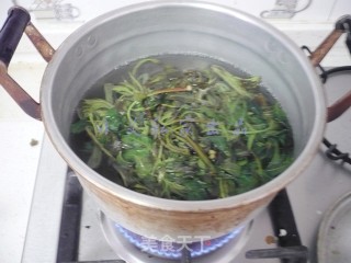 干炸香椿芽的做法步骤：2