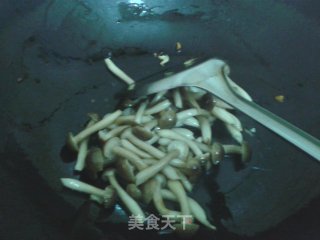 特色养生东北菜——蕨菜蘑菇的做法步骤：4