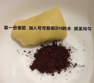 巧克力夹心饼干的做法步骤：6