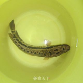 红烧柴鱼的做法步骤：1