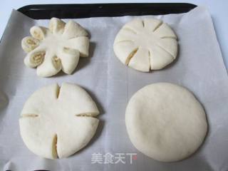 椰蓉面包的做法步骤：13