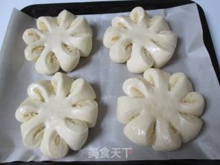 椰蓉面包的做法步骤：15