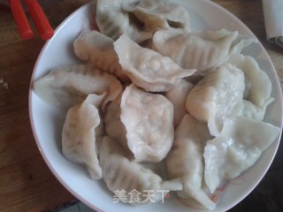 西葫芦鸡蛋饺子------小瓜鸡蛋水饺的做法步骤：11