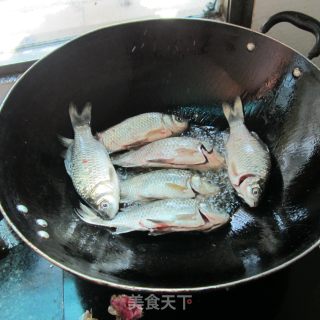 姜丝鲫鱼的做法步骤：3