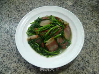 腊肉炒茼蒿的做法步骤：10