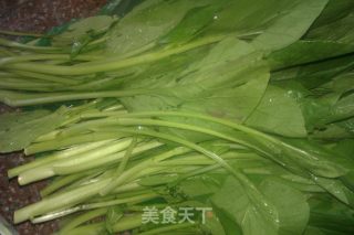 炒油菜的做法步骤：1