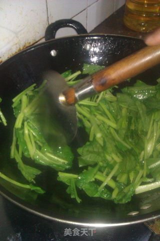 炒油菜的做法步骤：4