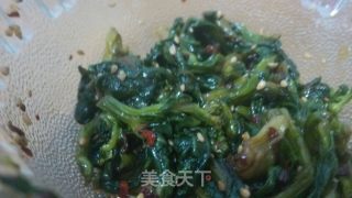 凉拌橄榄菜的做法步骤：4