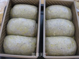 黑芝麻蜂蜜土司的做法步骤：13
