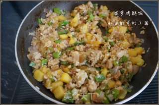 菠萝鸡腿饭的做法步骤：15