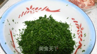 沙葱猪肉馅水饺的做法步骤：3