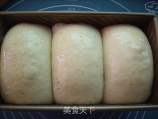 红米吐司的做法步骤：8
