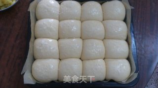 中种椰香豆沙排包的做法步骤：13