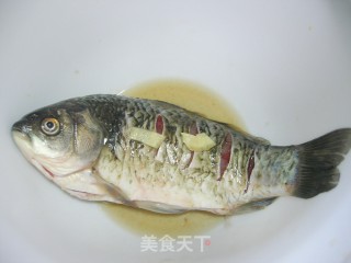 泡椒烤鲫鱼的做法步骤：1