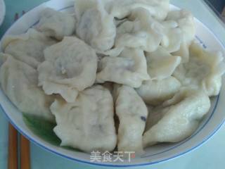 西葫三鲜水饺的做法步骤：5