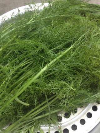 茴香猪肉水饺的做法步骤：1