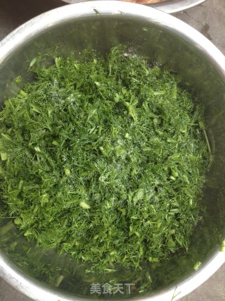 茴香猪肉水饺的做法步骤：6