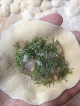 茴香猪肉水饺的做法步骤：9
