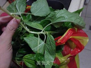 潮汕的名小菜---麻叶的做法步骤：1