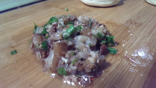 肉夹馍（自创腊汁肉，味道意外的好，根本停不下来）的做法步骤：9
