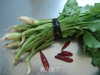 凉拌介菜梗的做法步骤：1