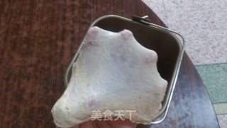 冰种全麦吐司的做法步骤：7