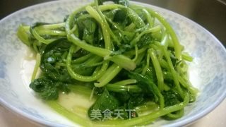 蒜香味十足的美味——蒜蓉菠菜的做法步骤：9