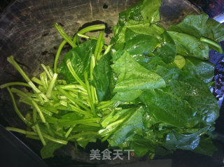 酱香菠菜的做法步骤：2