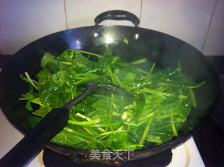 酱香菠菜的做法步骤：5