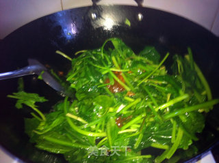 酱香菠菜的做法步骤：6