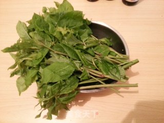 红油豆豉刺五加的做法步骤：1