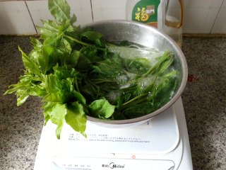红油豆豉刺五加的做法步骤：2
