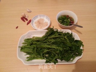 红油豆豉刺五加的做法步骤：5