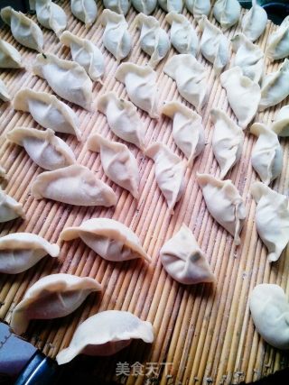 墨鱼韭菜馅儿饺子的做法步骤：8